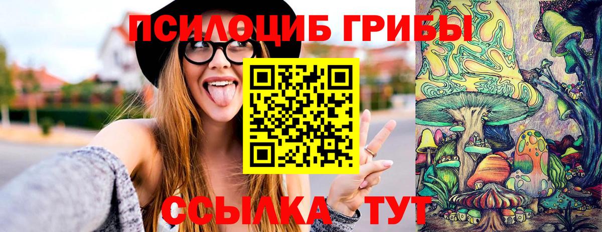 Галлюциногенные грибы Cubensis Вятские Поляны