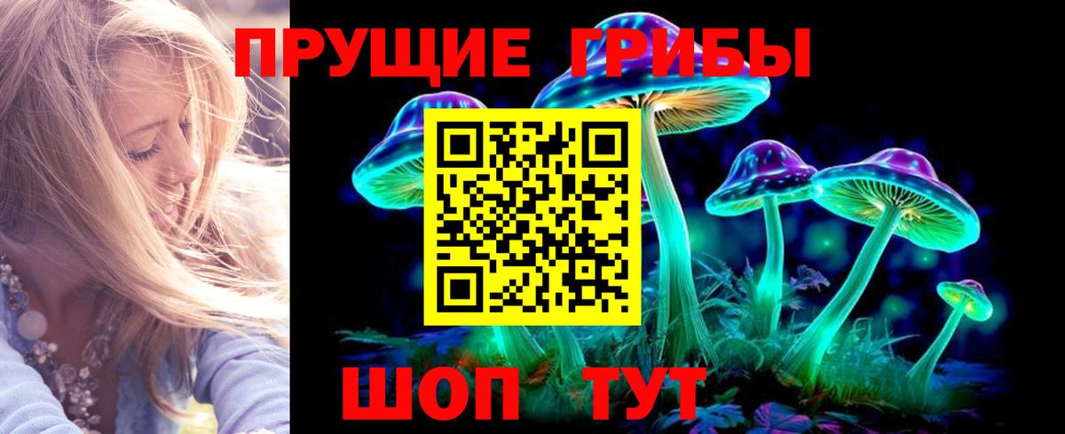 Вятские Поляны  Псилоцибиновые грибы MAGIC MUSHROOMS  Галлюциногенные грибы Magic Shrooms  Вход с VPN 